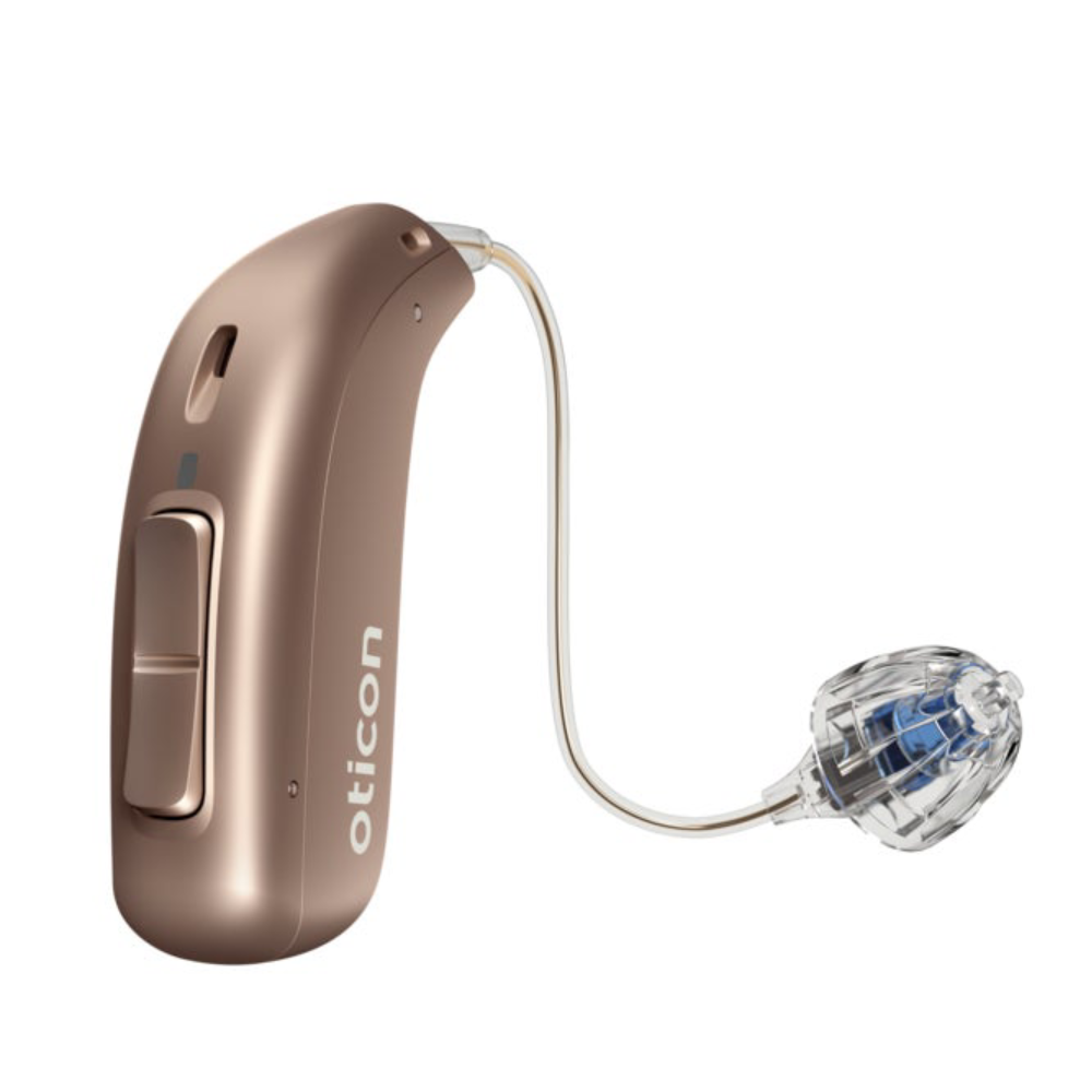 More 2 MiniRITE R Terracotta Hearing aids